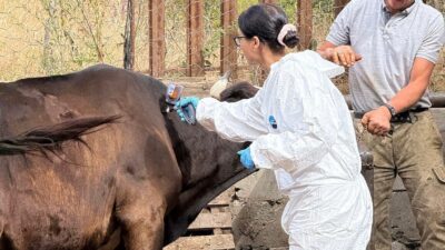 Hamza DEMİRCİ/ KASTAMONU, – KASTAMONU’nun Merkez, Taşköprü ve Devrekani ilçelerinde