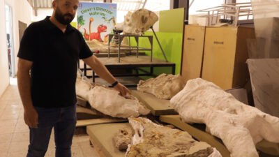 Furkan KAVUKLU/KAYSERİ, – KAYSERİ’de Yamula Barajı kıyısındaki fosil kazılarında, bu