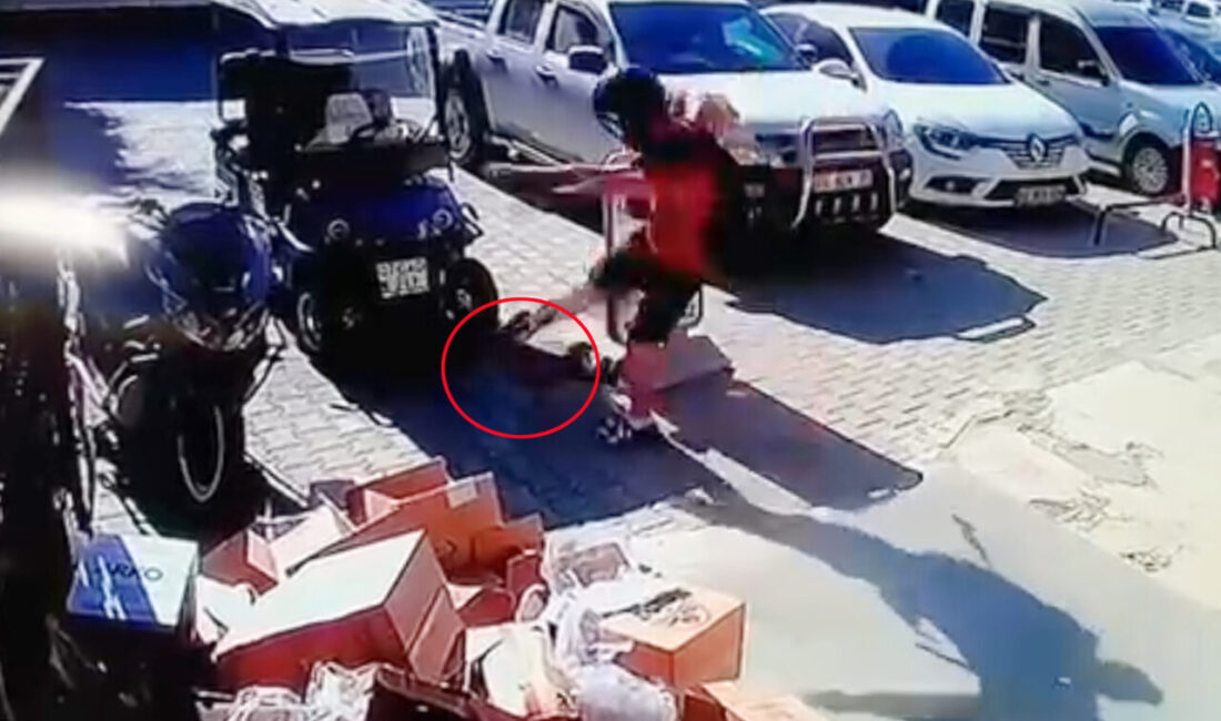 Alkın BİRİCİK/ALANYA (Antalya), – ANTALYA’nın Alanya ilçesinde kediyi tekmeleyince jandarma