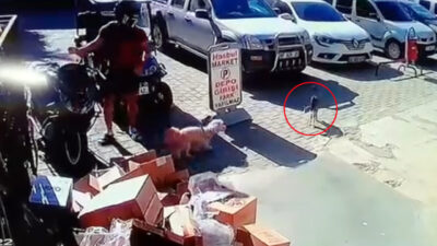 Alkın BİRİCİK/ALANYA (Antalya), – ANTALYA’nın Alanya ilçesinde kediyi tekmeleyen A.S.S.