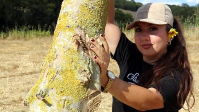 Abdullah YALÇIN/TEKİRDAĞ, – TEKİRDAĞ’ın Malkara ilçesinde, kereste ve nakliye şirketi