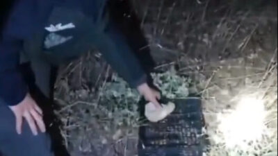 ANKARA, – DOĞA Koruma ve Milli Parklar (DKMP) Genel Müdürü