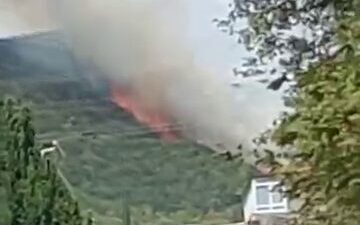 Ardacan UZUN/İZMİT (Kocaeli), – KOCAELİ’nin İzmit ilçesinde orman yangını çıktı.