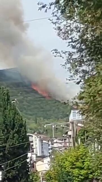 Ardacan UZUN/İZMİT (Kocaeli), – KOCAELİ’nin İzmit ilçesinde orman yangını çıktı.