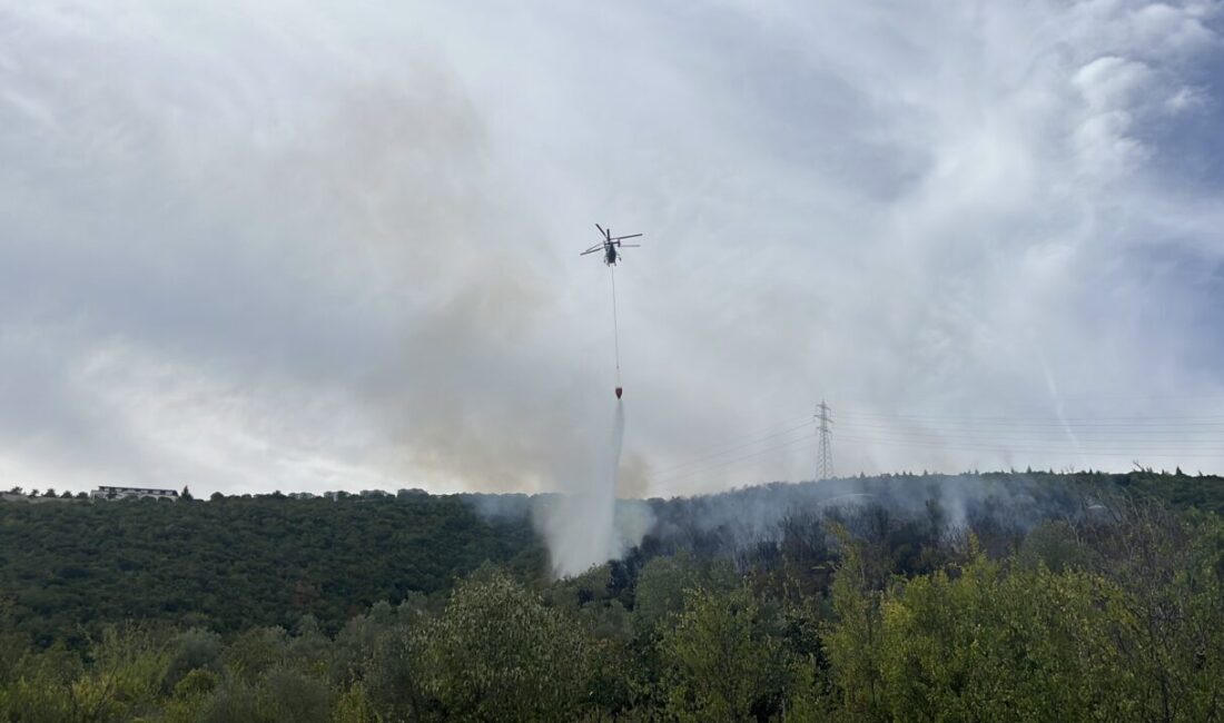 SOĞUTMA ÇALIŞMASI SÜRÜYOR Kocaeli’nin İzmit ilçesinde çıkan orman yangını; itfaiye,
