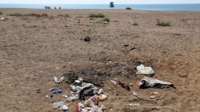 Mehmet ÇINAR/ANTALYA, – ANTALYA’nın Aksu ilçesinde, nesli tehlike altındaki caretta