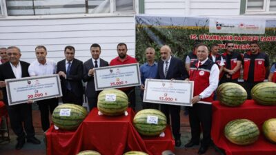 Selim KAYA-Seyfettin EKEN/DİYARBAKIR, – DİYARBAKIR’ın coğrafi işaretli ürünlerinden büyüklüğüyle ünlü