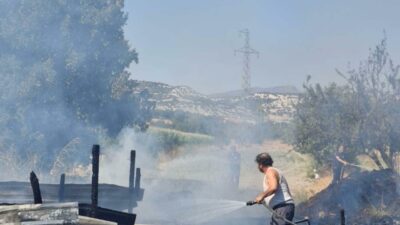 Uğur ÇAKMAK/SELENDİ (Manisa), – MANİSA’nın Selendi ilçesindeki bir ahırda çıkan