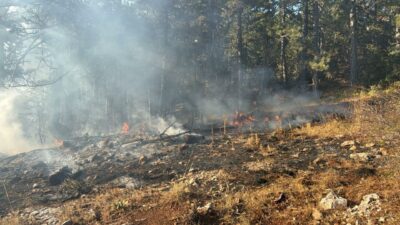 İpek KALAY/ MANİSA, – MANİSA’nın Demirci ilçesinde çıkan orman yangını,