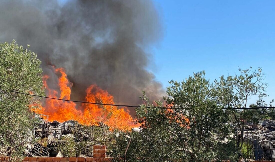 Ersan ERDOĞAN/MANİSA, – MANİSA’nın Yunusemre ilçesindeki palet fabrikasında yangın çıktı.