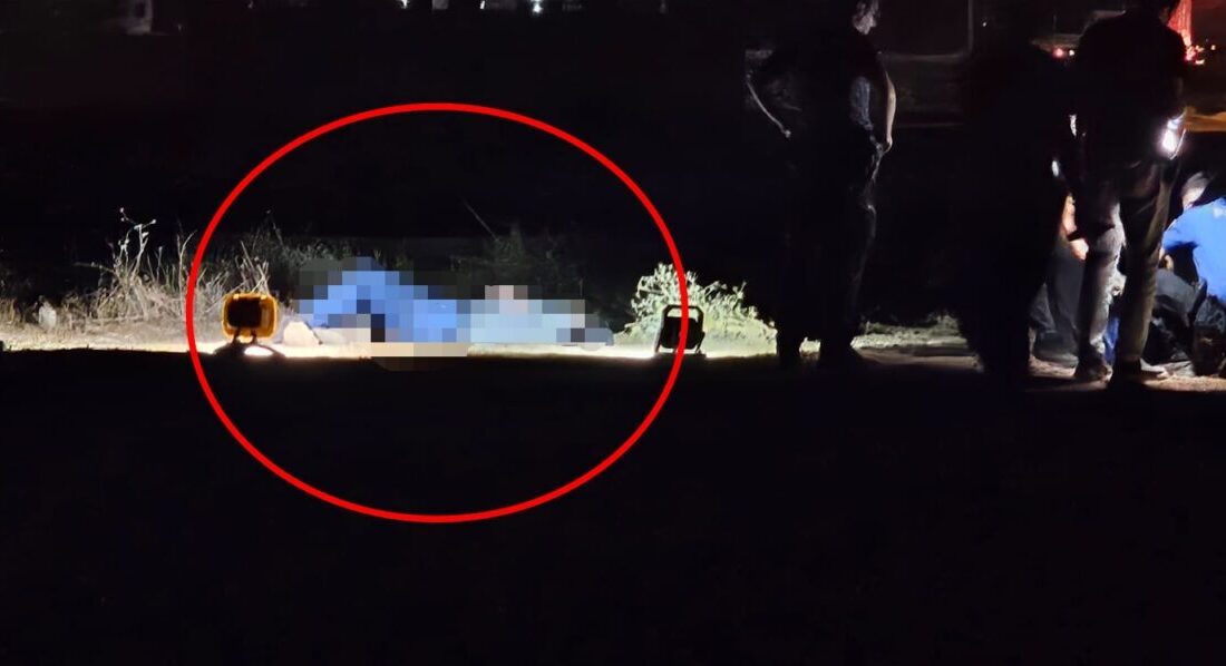 Salih KESKİN/ KIZILTEPE (Mardin), – MARDİN’in Kızıltepe ilçesinde boş tarlada