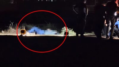 Salih KESKİN/ KIZILTEPE (Mardin), – MARDİN’in Kızıltepe ilçesinde boş tarlada