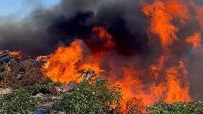 İsmail BAKİ/ MARMARA (Balıkesir), – BALIKESİR’in Marmara Adası’nda çöplükte çıkan