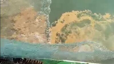 Nazif Cemhan ŞEN/ÇANAKKALE, – DENİZLERDEKİ av yasağının 1 Eylül’de sona