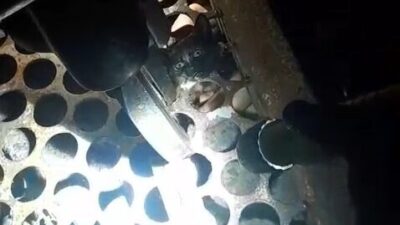 Ali Sencer ARSLAN/ ZONGULDAK, – ZONGULDAK’ın Kozlu ilçesinde mazgala başı