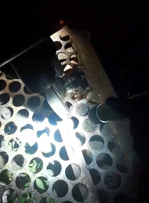 Ali Sencer ARSLAN/ ZONGULDAK, – ZONGULDAK’ın Kozlu ilçesinde mazgala başı