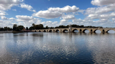Olgay GÜLER/EDİRNE, – EDİRNE’nin önemli su kaynaklarından Meriç Nehri’nde, gelecek