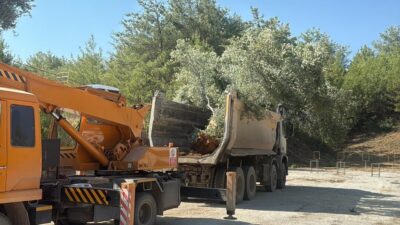 Fırat AKAY/MİLAS(Muğla), – ANKARA Üniversitesi Teknokent’te yürütülen Ar-Ge projesiyle taşınan