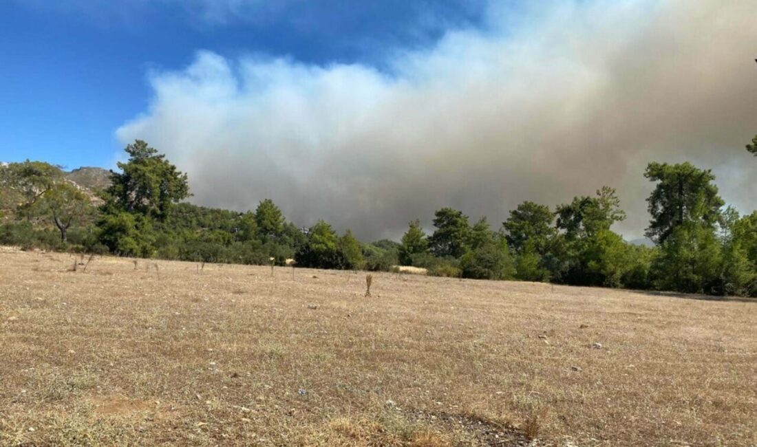 8 AYRI NOKTADA YANGIN Muğla Valisi İdris Akbıyık ile Orman