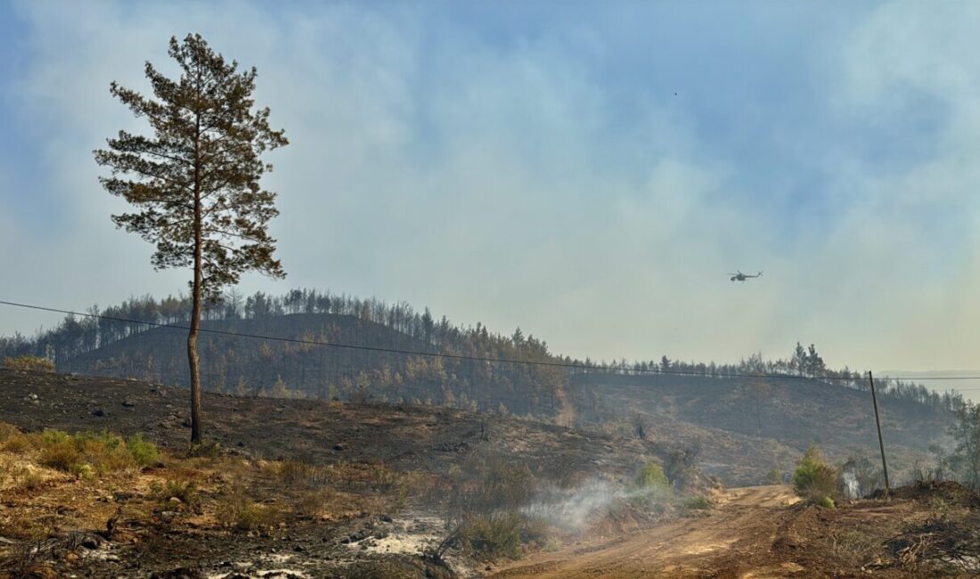 Cavit AKGÜN-Aziz ŞAHİN/MUĞLA, – MUĞLA’nın Köyceğiz ilçesinde çıkan orman yangınının