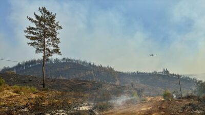Cavit AKGÜN-Aziz ŞAHİN/MUĞLA, – MUĞLA’nın Köyceğiz ilçesinde çıkan orman yangınının