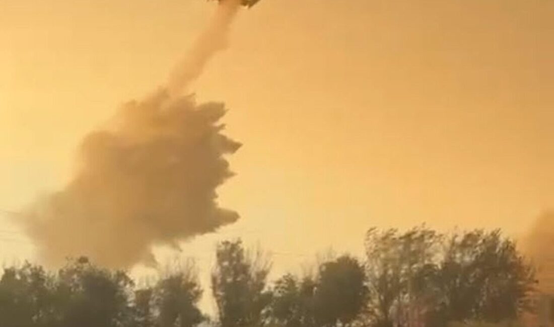 Melek FIRAT-Fırat AKAY/AYDIN, – MUĞLA’nın Milas ilçesinde çıkan orman yangını