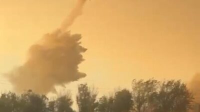 Melek FIRAT-Fırat AKAY/AYDIN, – MUĞLA’nın Milas ilçesinde çıkan orman yangını