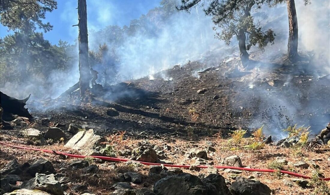 2,5 SAATTE KONTROL ALTINA ALINDI Köyceğiz ilçesinde saat 09.30 sıralarında