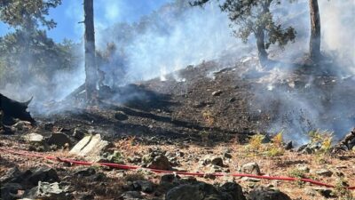 2,5 SAATTE KONTROL ALTINA ALINDI Köyceğiz ilçesinde saat 09.30 sıralarında