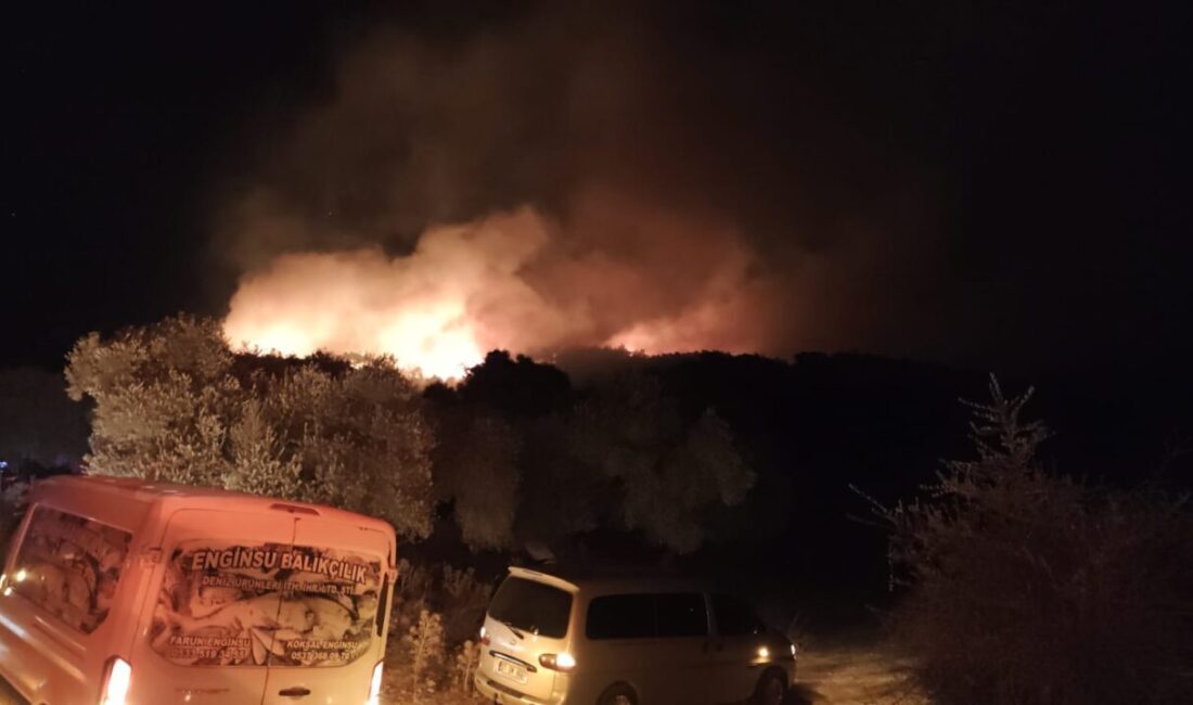 MİLAS’TA DA 2 NOKTADA ORMAN YANGINI Muğla’nın Köyceğiz ilçesinin ardından