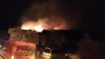 MİLAS’TA DA 2 NOKTADA ORMAN YANGINI Muğla’nın Köyceğiz ilçesinin ardından