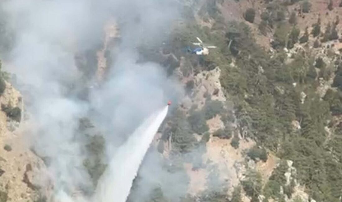 Cavit AKGÜN/MUĞLA, – MUĞLA’nın Köyceğiz ilçesinde orman yangını çıktı. Alevlere