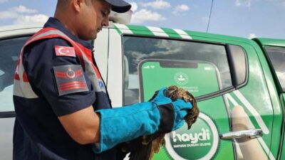 Muhammed Sami MARAL/ MUŞ, – MUŞ’un Hasköy ilçesinde güvenlik güçlerince