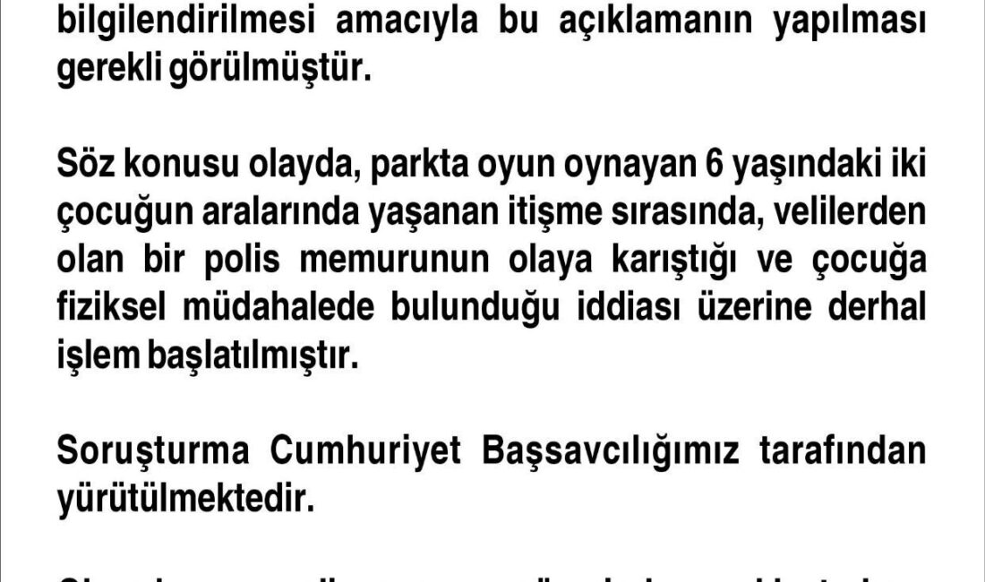 Tekin YALÇINKAYA/ ELAZIĞ, – ELAZIĞ’da parkta oyun oynayan oğluyla itişen