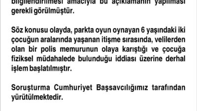 Tekin YALÇINKAYA/ ELAZIĞ, – ELAZIĞ’da parkta oyun oynayan oğluyla itişen
