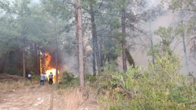 Efendi ERKAYIRAN/SUMBAS, (Osmaniye), – OSMANİYE’nin Sumbas ilçesinde orman yangını çıktı.