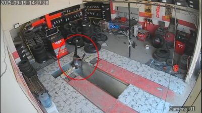 Salih KESKİN/MAZIDAĞI, (Mardin), – MARDİN’in Mazıdağı ilçesinde, oto lastik dükkanında