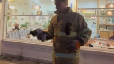 Ayhan ACAR/BARTIN, – BARTIN’da otomobilin motoruna sıkışan yavru kedi, itfaiye