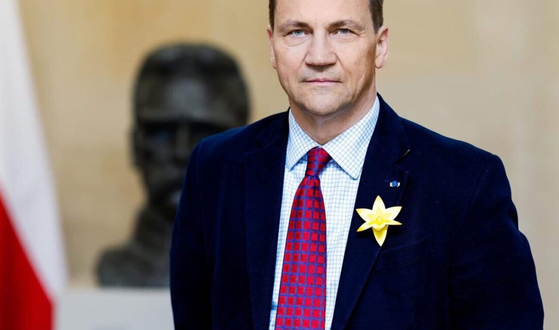 Polonya: Rusya’nın İHA saldırıları NATO ve müttefiklerini test ediyor POLONYA, – POLONYA Dışişleri Bakanı Radoslaw Sikorski, Rusya’nın İHA’ları, savaş