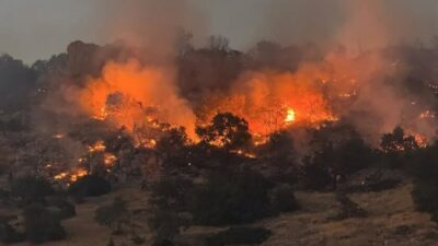 Gıyasettin TETİK/DİYARBAKIR, – BİYOÇEŞİTLİLİK ve Çevre Koruma Uzmanı Prof. Dr.