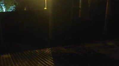 Adem AKATİN/ARDEŞEN (Rize), -RİZE’nin Ardeşen ilçesinde ÇAYKUR’a ait çay fabrikasının