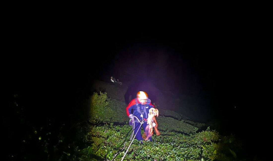 Mehmet Can PEÇE/RİZE, – RİZE’nin Ardeşen ilçesinde birlikte oynadığı çocuğunun