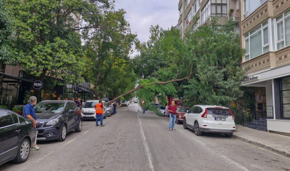 Gökhan İÇKİLLİ/SAMSUN, – SAMSUN’da etkili olan kuvvetli rüzgar nedeniyle park