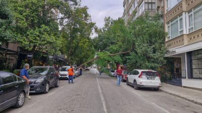 Gökhan İÇKİLLİ/SAMSUN, – SAMSUN’da etkili olan kuvvetli rüzgar nedeniyle park