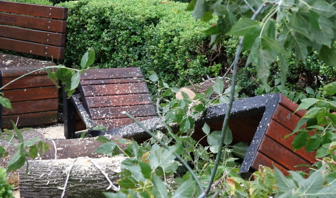 Efnan DEMİREREN/TRABZON, – TRABZON’da etkili olan kuvvetli rüzgar nedeniyle Meydan