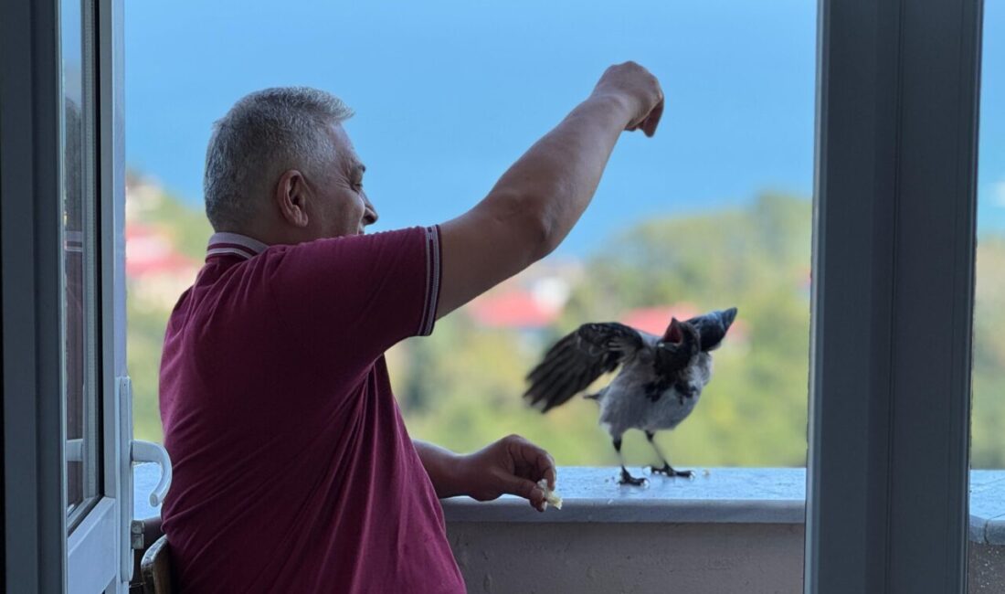 Emrah GEMİCİOĞLU/ORDU, – ORDU’da fındık üreticisi Kemal Demirbaş’ın (50), ‘Şakir’
