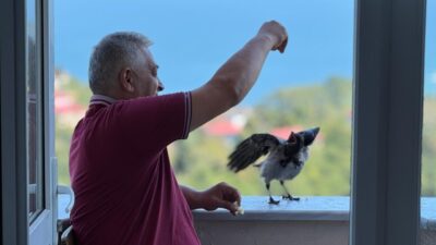Emrah GEMİCİOĞLU/ORDU, – ORDU’da fındık üreticisi Kemal Demirbaş’ın (50), ‘Şakir’