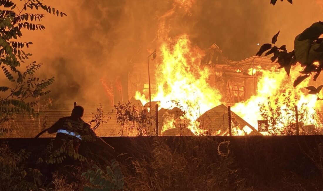 Emre ÖNCEL- Berkay YILDIZ/ SAMSUN, – SAMSUN’un Tekkeköy ilçesi Örnek