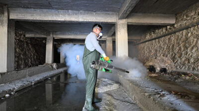 Yusuf YILDIZ-Anıl ATAR/ADANA, – ADANA Veteriner Hekimler Odası Başkanı Nihat