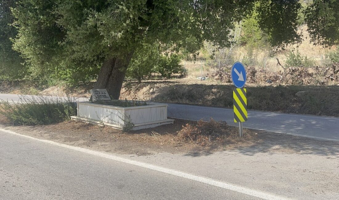 Mehmet İNAN-Yiğithan HÜYÜK/BURSA, -BURSA’da 1978 yılında yapılan genişletme çalışması sırasında